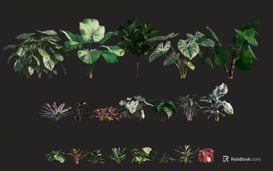 Various Types of Shrubs with Different Leaf Shapes and Colors for Garden Landscaping 3d model 