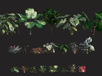 Various Types of Shrubs with Different Leaf Shapes and Colors for Garden Landscaping 3d model