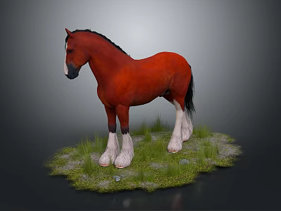 Red Horse With Black Mane Standing On Green Grass Field With White Hooves 3d model