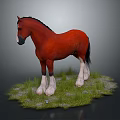 Red Horse With Black Mane Standing On Green Grass Field With White Hooves