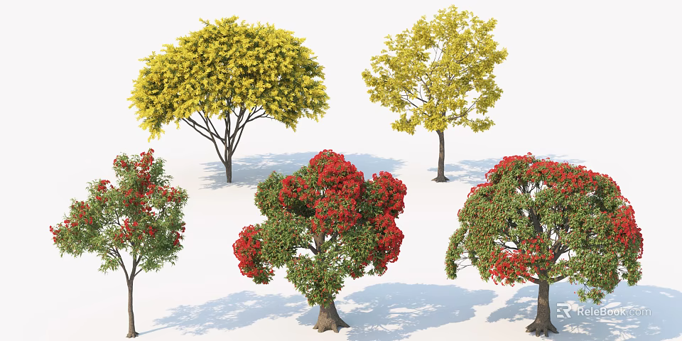 Ornamental Arbor Trees With Colorful Yellow Red Foliage For Landscape Design 3d model 