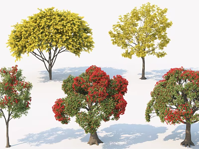 Ornamental Arbor Trees With Colorful Yellow Red Foliage For Landscape Design 3d model