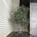 Small view of modern tree courtyard 3d model