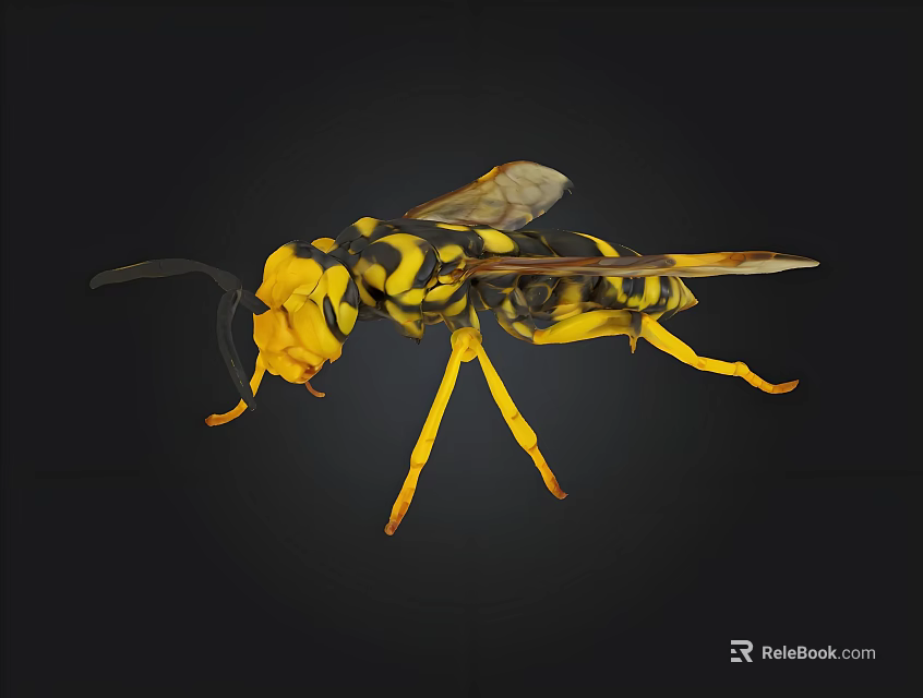 Detailed Yellow And Black Wasp Insect With Wings Legs And Antennae On Black Background 3d model 