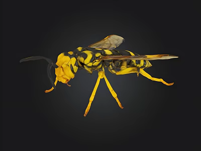 Detailed Yellow And Black Wasp Insect With Wings Legs And Antennae On Black Background 3d model