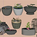 Assorted Decorative Pots With Lotus Flowers Water Small Plants And Stones