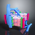 modern eukaryotic cell cross section cell structure cell tissue 3d model