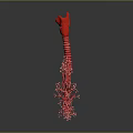 Medical Device 3D Anatomical Respiratory System Model with Lung and Trachea Structure 3d model