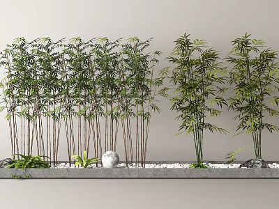 Bamboo Plants In Modern Landscape Design With Stones And Greenery 3d model