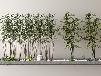 Bamboo Landscape Bamboo 3d model