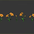 Orange Flowers With Green Stems And Leaves On Grey Background With Reflections