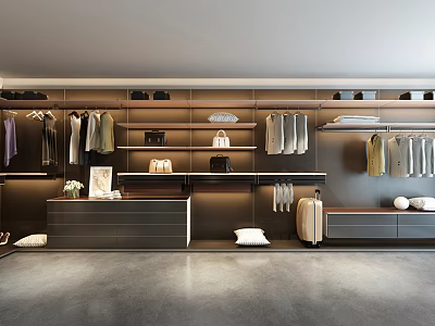Modern Walk in Wardrobe with Hanging Areas Bags Shoes Drawers and Shelves 3d model
