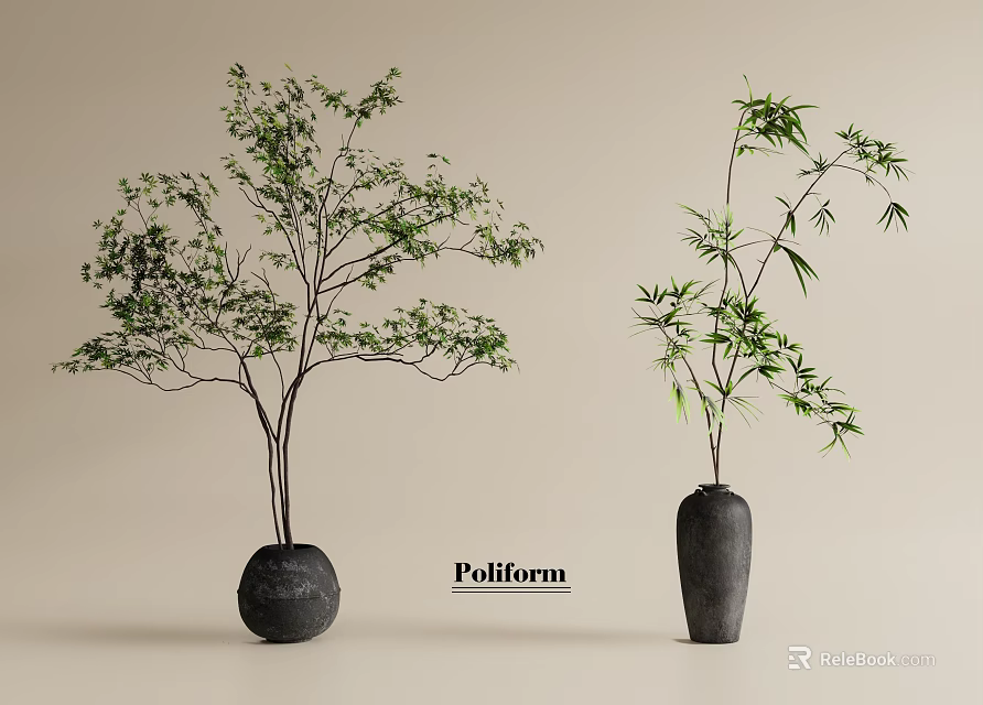 Bonsai Plants in Black Pots with Green Bamboo and Tree for Poliform Decor 3d model 