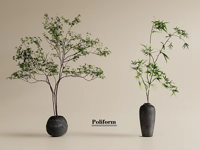 Bonsai Plants in Black Pots with Green Bamboo and Tree for Poliform Decor 3d model