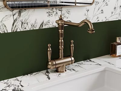 Brass Bathroom Faucet On Marble Countertop With Green Wall Floral Wallpaper And White Sink 3d model