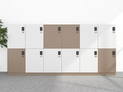 Numbered White And Brown Lockers Arrangement In Indoor Space With Plant 3d model