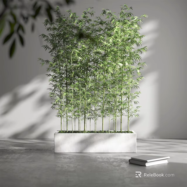 Bamboo Bonsai Potted Plant in White Rectangular Planter with Green Leaves and Gray Wall 3d model 