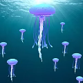 Group of Purple Jellyfish Floating in Deep Blue Ocean Water with Sunlight Rays
