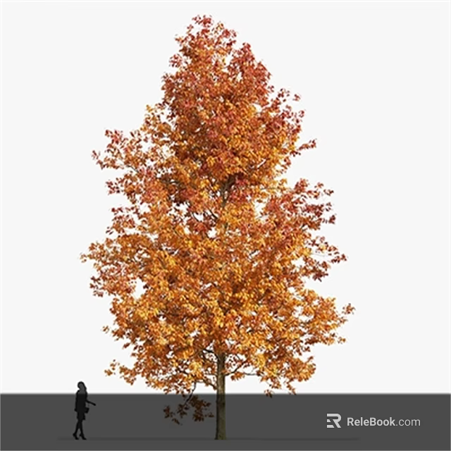 Autumn Deciduous Arbor With Lush Vibrant Orange Red And Yellow Leaves 3d model 