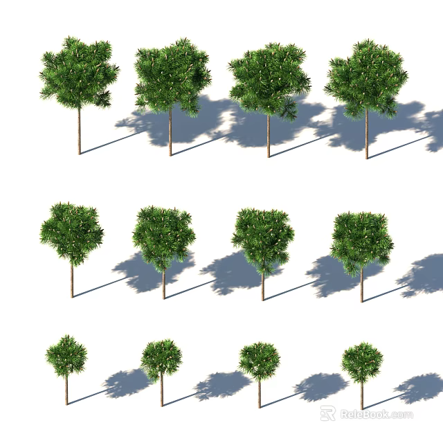 Various Green Arbor Trees in Different Sizes with Row Arrangement and Shadows 3d model