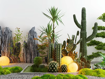 Courtyard Garden Design With Cacti Rock Formations Glowing Spherical Lights And Green Moss 3d model