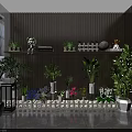Indoor Bonsai and Potted Plants with Wooden Wall Marble Floor White Fence Shelves Decorative Items