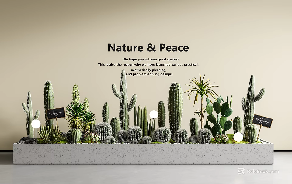 Diverse Bonsai and Potted Plants Collection With Cacti Succulents Nature and Peace Theme 3d model 