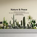 Diverse Bonsai and Potted Plants Collection With Cacti Succulents Nature and Peace Theme
