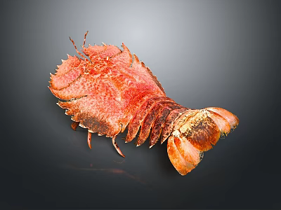 Red Cooked Lobster Close Up on Black Background with Fresh Appearance 3d model