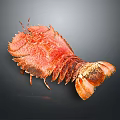 Red Cooked Lobster Close Up on Black Background with Fresh Appearance 3d model