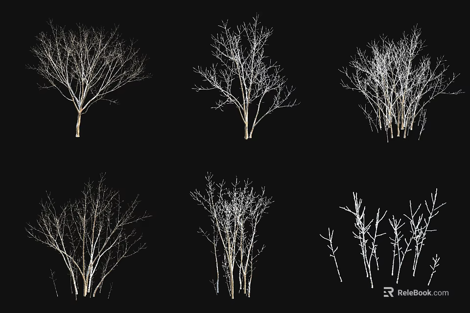 Bare Tree Silhouettes in Various Forms with Clear Branch Details on Black 3d model 