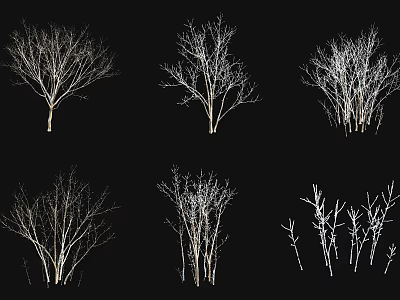 Bare Tree Silhouettes in Various Forms with Clear Branch Details on Black 3d model