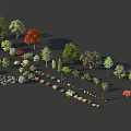 Diverse Tree Species Collection Showcasing Various Foliage Colors And Natural Shapes