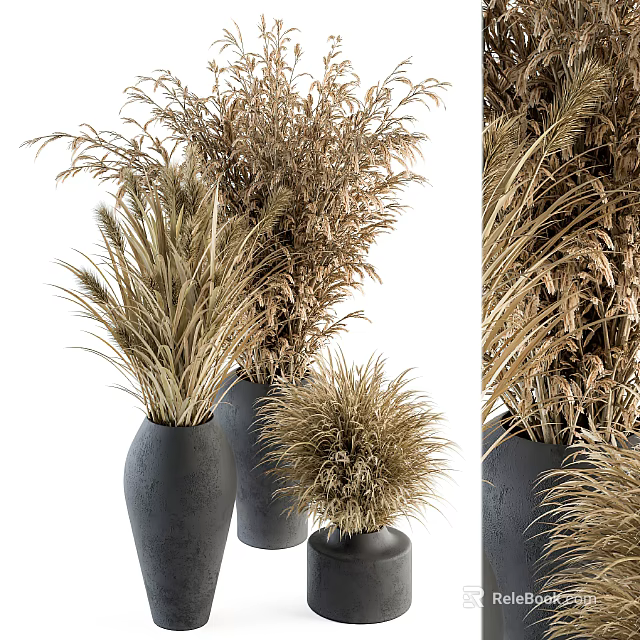Bonsai Potted Plants With Dried Grasses In Black Vases For Indoor Decoration 3d model 