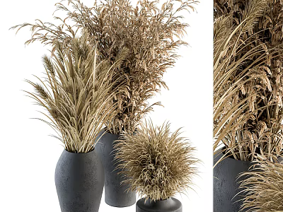 Bonsai Potted Plants With Dried Grasses In Black Vases For Indoor Decoration 3d model