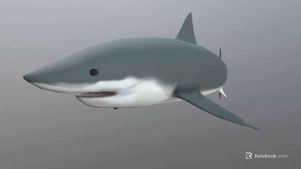 Game and Movie Character Shark 3D Model with Gray Blue Body Open Mouth and Fins 3d model 