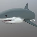 Game and Movie Character Shark 3D Model with Gray Blue Body Open Mouth and Fins