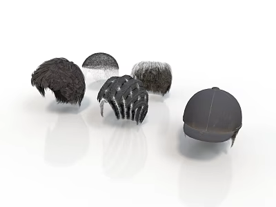 Various Styles Of Hair Pieces For Daily Life Use In Black And Gray Colors 3d model