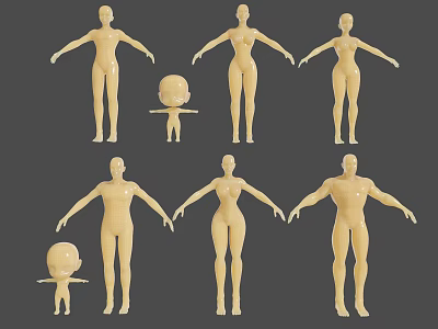 Diverse Human Body Models Featuring Adult And Child Sizes In Standing Poses 3d model