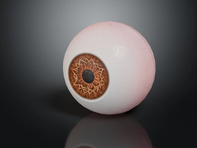 Realistic Human Eyeball Model with Pink Sclera Brown Iris and Hair like Texture Details 3d model