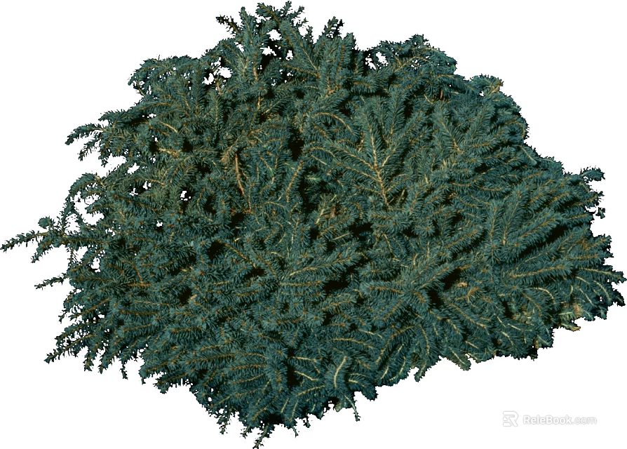 Lush Green Arbor Tree With Dense Evergreen Foliage And Natural Canopy 3d model 