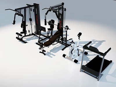 Professional Home Gym Sports Equipment With Multi Gym Machine Dumbbells Treadmill And Weight Bench 3d model