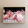 Pink Flamingo Animal Painting With Group Of Standing Birds In Natural Scene 3d model
