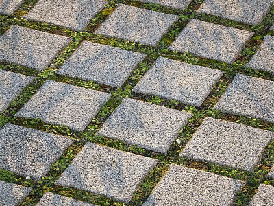 Ground Surface With Square Stone Pavers And Grass Filled Joints 3d model