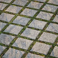 Ground Surface With Square Stone Pavers And Grass Filled Joints 3d model