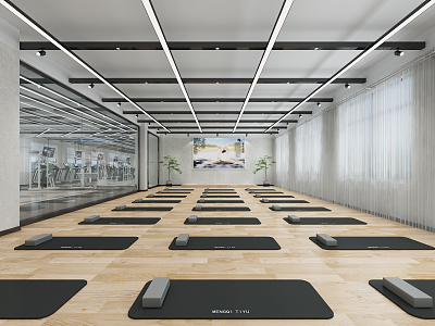 Modern Yoga Room 3d model