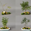 Different Tree Planter Designs With Small Trees Grass And Decorative Stones 3d model