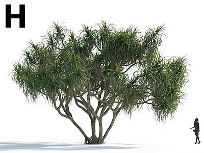 Arbor with Lush Foliage Multiple Trunks Root Base and Small Figure 3d model
