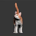 Orange Striped Cat Figure Standing On Black Background With Reflective Surface 3d model