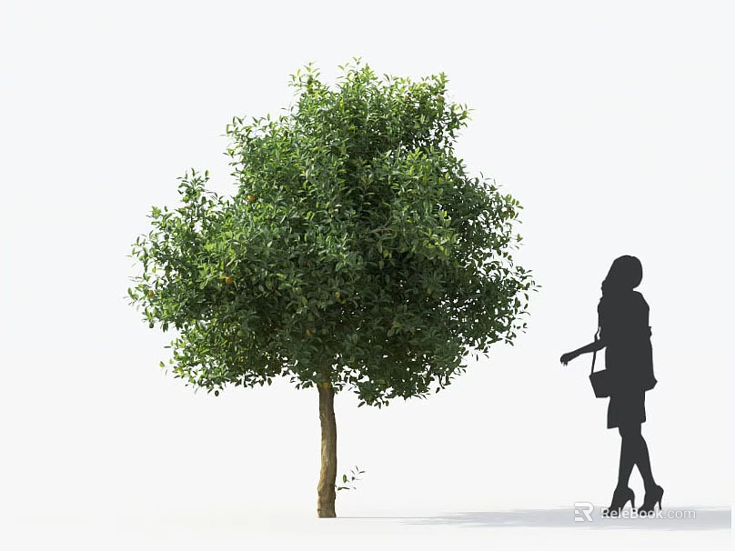 Green Leafy Tree With Woman Silhouette Standing Next To Wearing High Heels And Handbag 3d model 